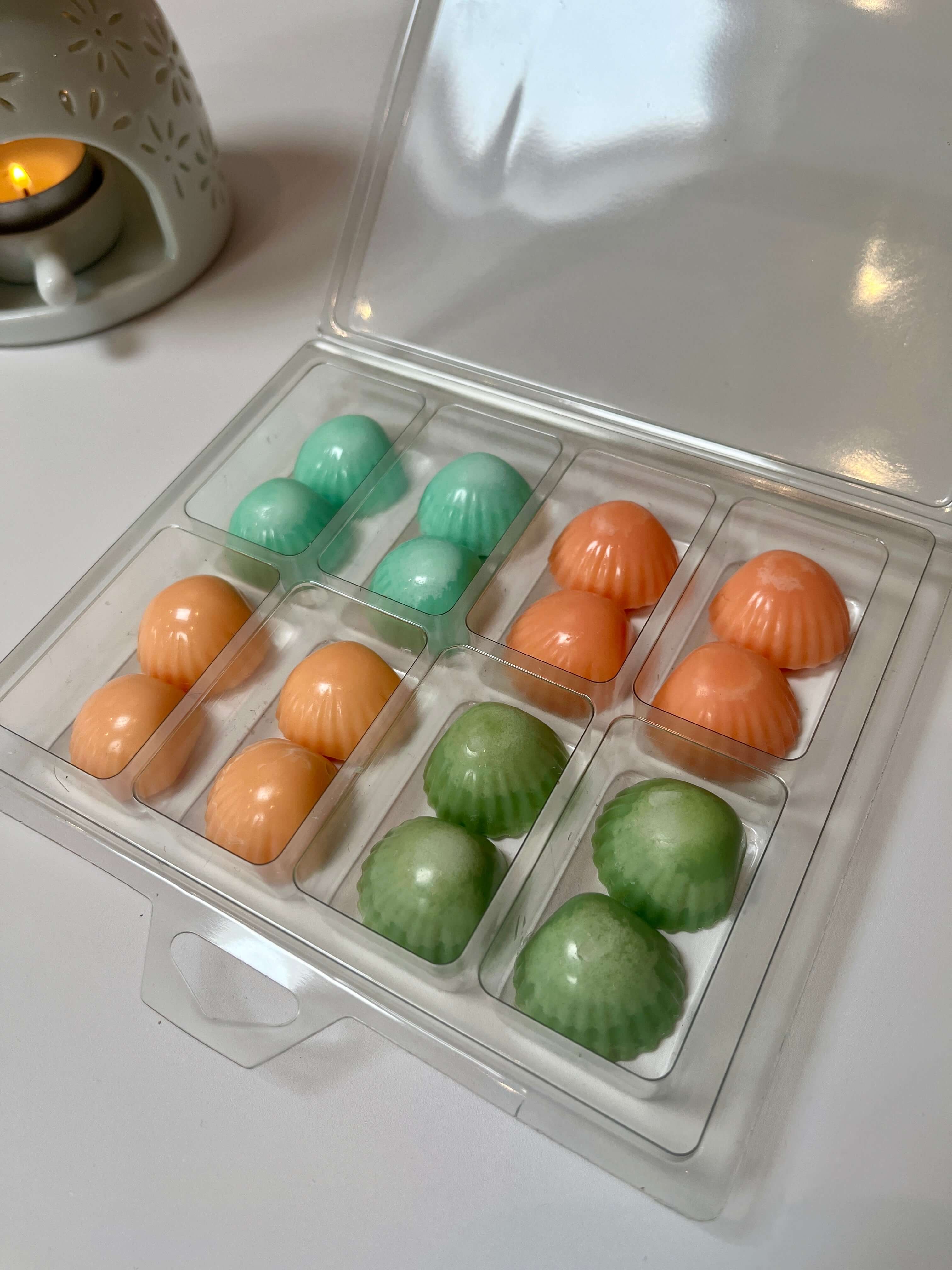 <img src="your-image-url.jpg" alt="Plastic container with twelve shell-shaped wax melts in light green, light blue, and orange, arranged in compartments. A lit candle in a decorative holder is visible in the background.">