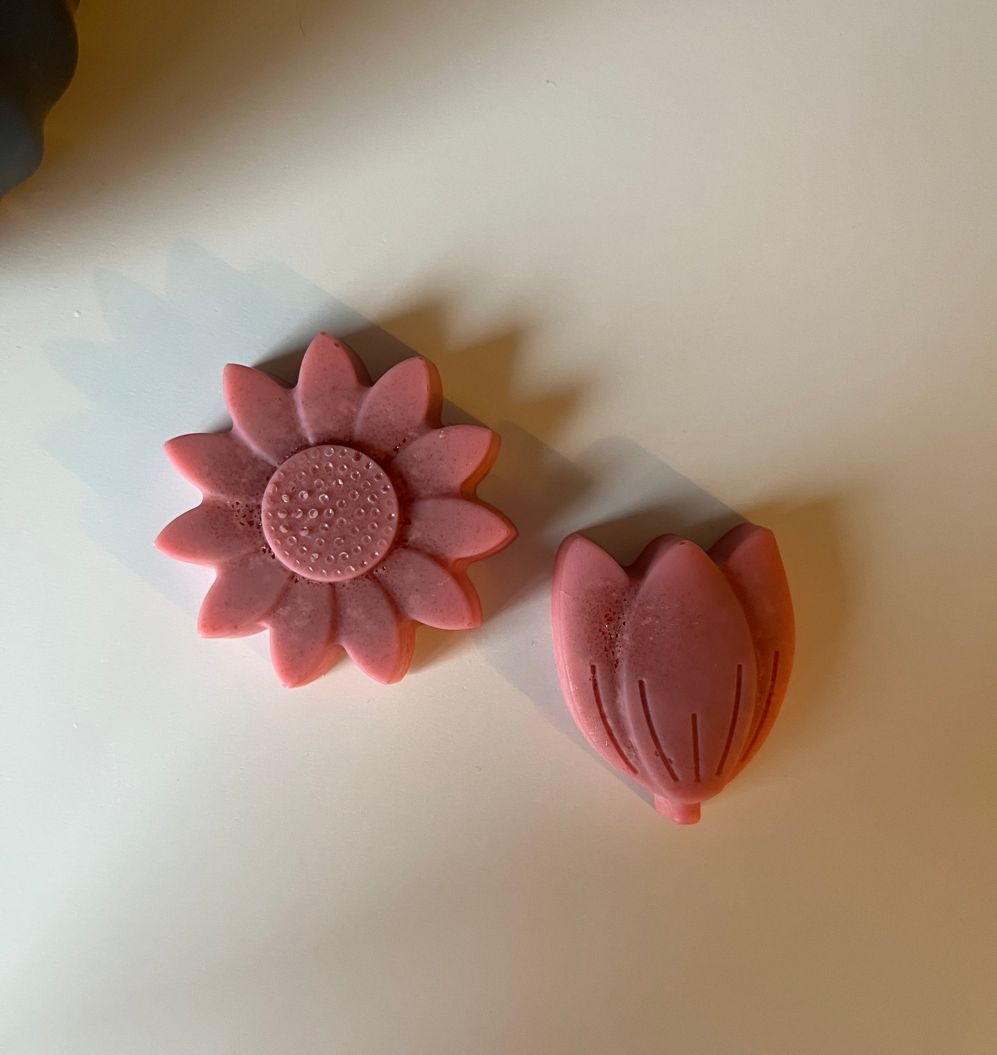 Two red wax flowers